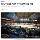 (오피셜) kcc 농구단 전격 부산으로 연고지 이전 이미지