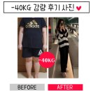핏더독 이미지
