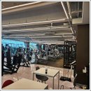 호수펀치앤핏 | 동탄호수공원 헬스장 추천, 웰니스앤핏 솔직 후기^^!