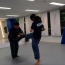 라온제나 성인태권도장 이미지