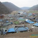 죽전할머니경로당 Daum카페