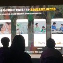 바이널주 이미지