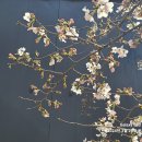 대도큰섬마을어린이공원 이미지