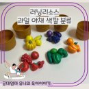 교구기록. 러닝리소스 과일 야채 색깔 분류 후기