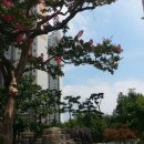 국제파크장 이미지