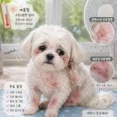 하나로365약국 네이버블로그