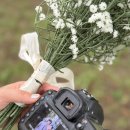 효빈헤어시티 | [공지] [Wedding-20] 대전 웨딩스냅 "내가그리는순간" 전용수 작가님과 웨딩스냅 촬영 후기