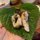 지금은허브다이어트시대 | [대흥역 고기집 추천] 대흥역 맛집 파닭파닭 닭 특수부위 직화구이 솔직후기