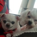 용진농장 이미지