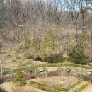 엘린 | [출산일기] 용인 디엘린산후조리원 후기(신생아 케어, 음식, 시설까지)