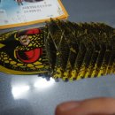 위저드 융합과학 이미지