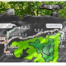 청풍호 감 이미지