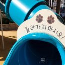 중대어린이공원 네이버블로그