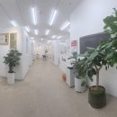 레푸스 호매실점 이미지