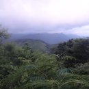 ＜호남정맥제20구간＞추령~복용재~개운치(29번 국도)~고당산640m~구절재(30번 국도) 이미지