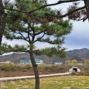 생오리마당 이미지