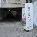 청춘 고양이 카페 | 사람 좋아하는 귀여운 고양이들로 힐링 되는곳 홍대 청춘고양이카페 다녀온 후기