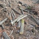 임대길농장 이미지