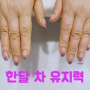 보비스타일샵 이미지