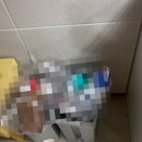 라온초당펜션 이미지