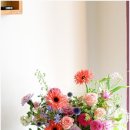 수원-0748 이미지