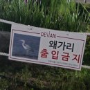 주원고개 | 오월은푸르구나