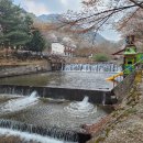 금산 남이자연휴양림 3캠핑장 후기