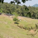 지선목장 이미지