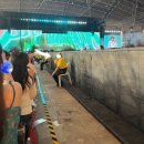 대보매점 | 가자! 멀라이언의 도시로 (세븐틴 NEW_ 싱가포르 국립경기장)