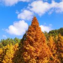 용소웰빙공원 이미지