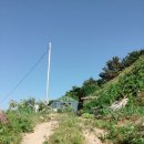 모시개민박 이미지