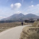 오고가고민박 이미지