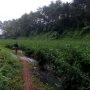 이제, 단양 이미지