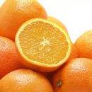 오렌지 이미지
