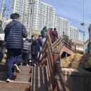 구갈레스피아 이미지