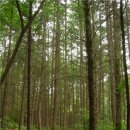 공작골 | 공작산_080712