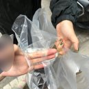 [여주카페/봉봉커피] 여주 소금빵 맛집, 디저트 후기