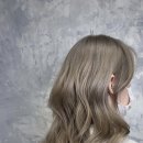 브로시스 이미지