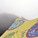 와이제이인터내셔널 네이버블로그