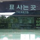 신비로-11 이미지