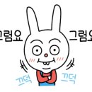 아델라키친