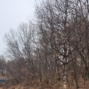 달전골프클럽 이미지