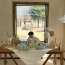 도개다곡길 | 아기 백일사진 촬영 팁 구미 고이담아 스튜디오 추천