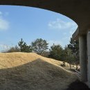 모험담 | 제주신상숙소 제주 동쪽에서의 특별한 모험, 모험담 후기