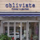 오블리비아떼 이미지