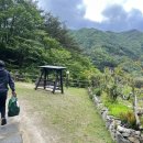 풍안 | 부산근교 애견동반펜션 경남 풍안펜션 여름방 내돈내산 솔직후기