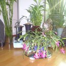 우리화원 이미지