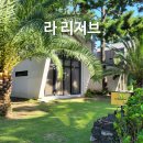 제주독채펜션 라리저브 감성펜션 | 제주 동쪽 숙소 라리저브 독채펜션 애견동반 가능