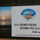 충남 태안 청포대오토캠핑장 이미지