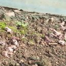 월학농장 이미지